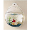 Wall Mounted Acrylic Fish Bowl C542