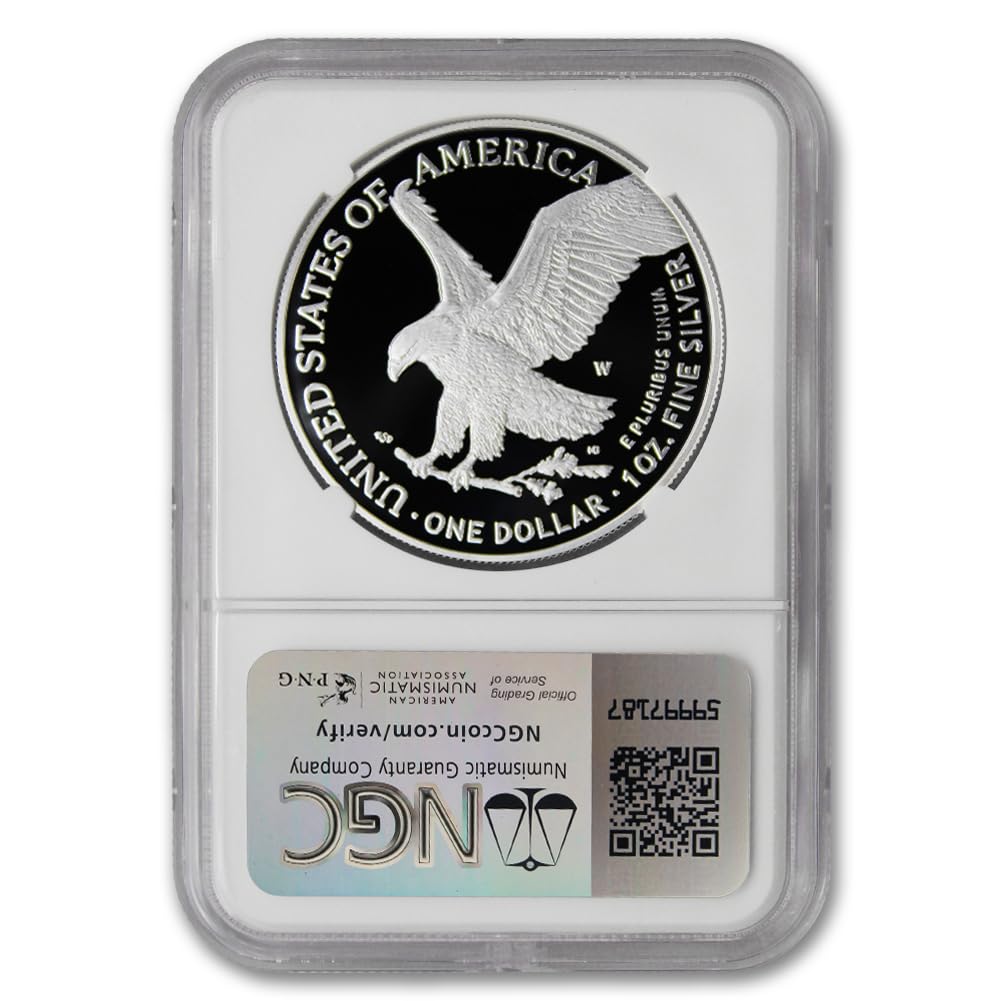 1 oz American Silver Eagle Coin R186722
