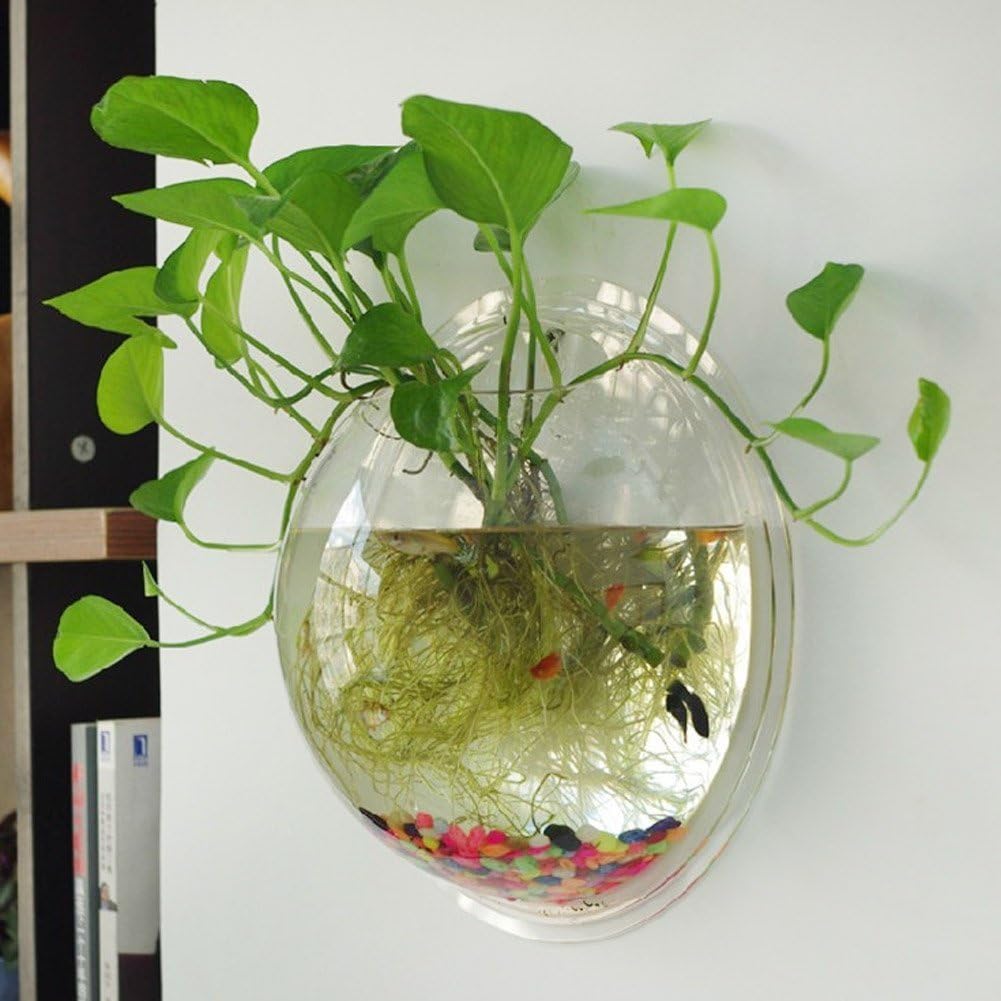 Wall Mounted Acrylic Fish Bowl C542