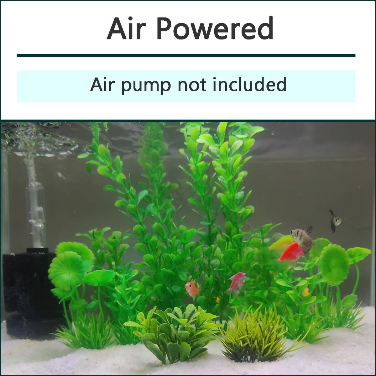 Aquarium Air Powered Sponge Filter with Airline Tubing N7391