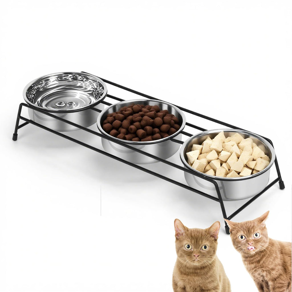 Raised Cat Bowls 3 Stainless Steel I415