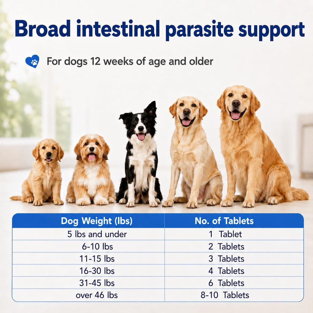 Dewormer for Dogs J473