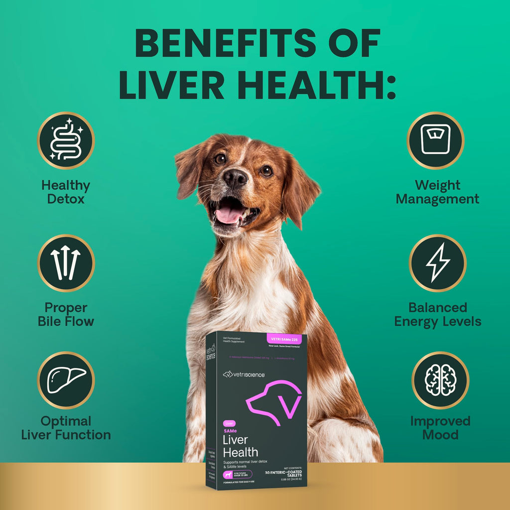 Liver Health Tablets for Dogs 30 Count E317