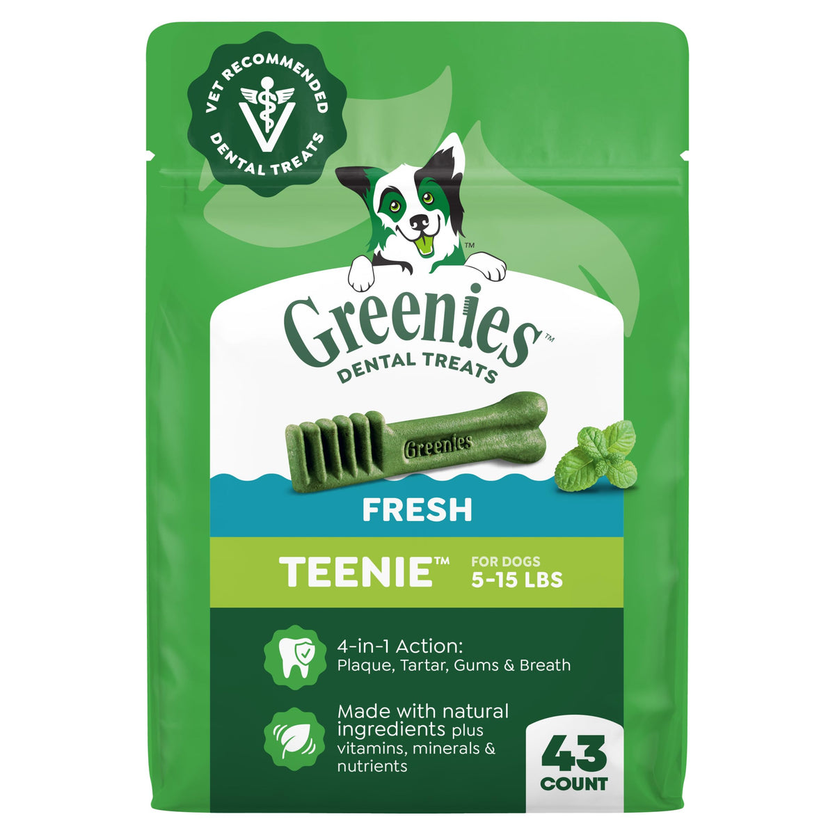 Fresh Mint Dental Dog Treats 43 Count Z159700