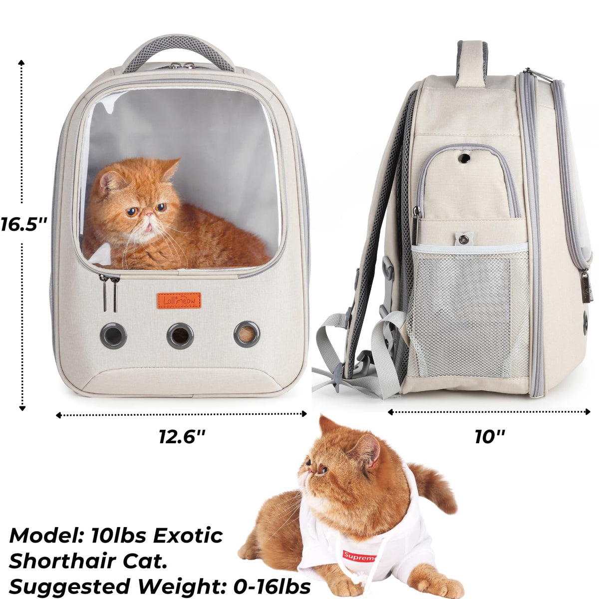 Pet Carrier Backpack, Airline-Approved (Beige) S476