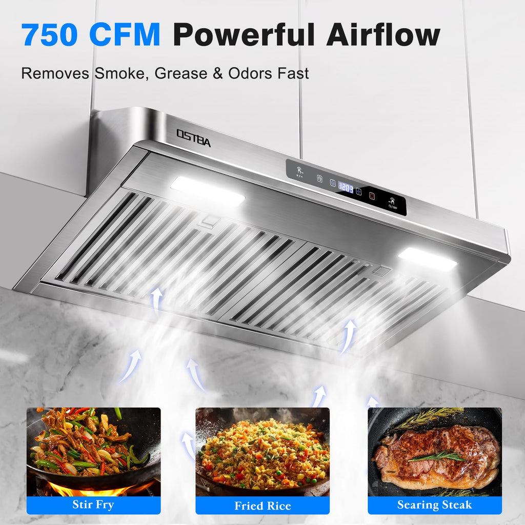 30" Under Cabinet Range Hood B1596
