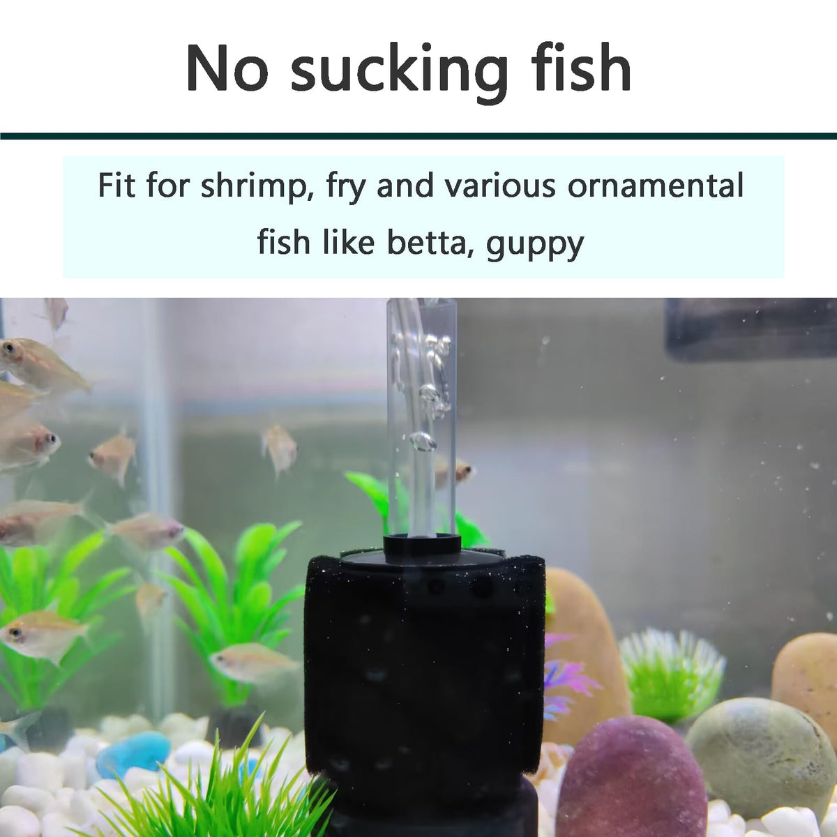 Aquarium Air Powered Sponge Filter with Airline Tubing N7391