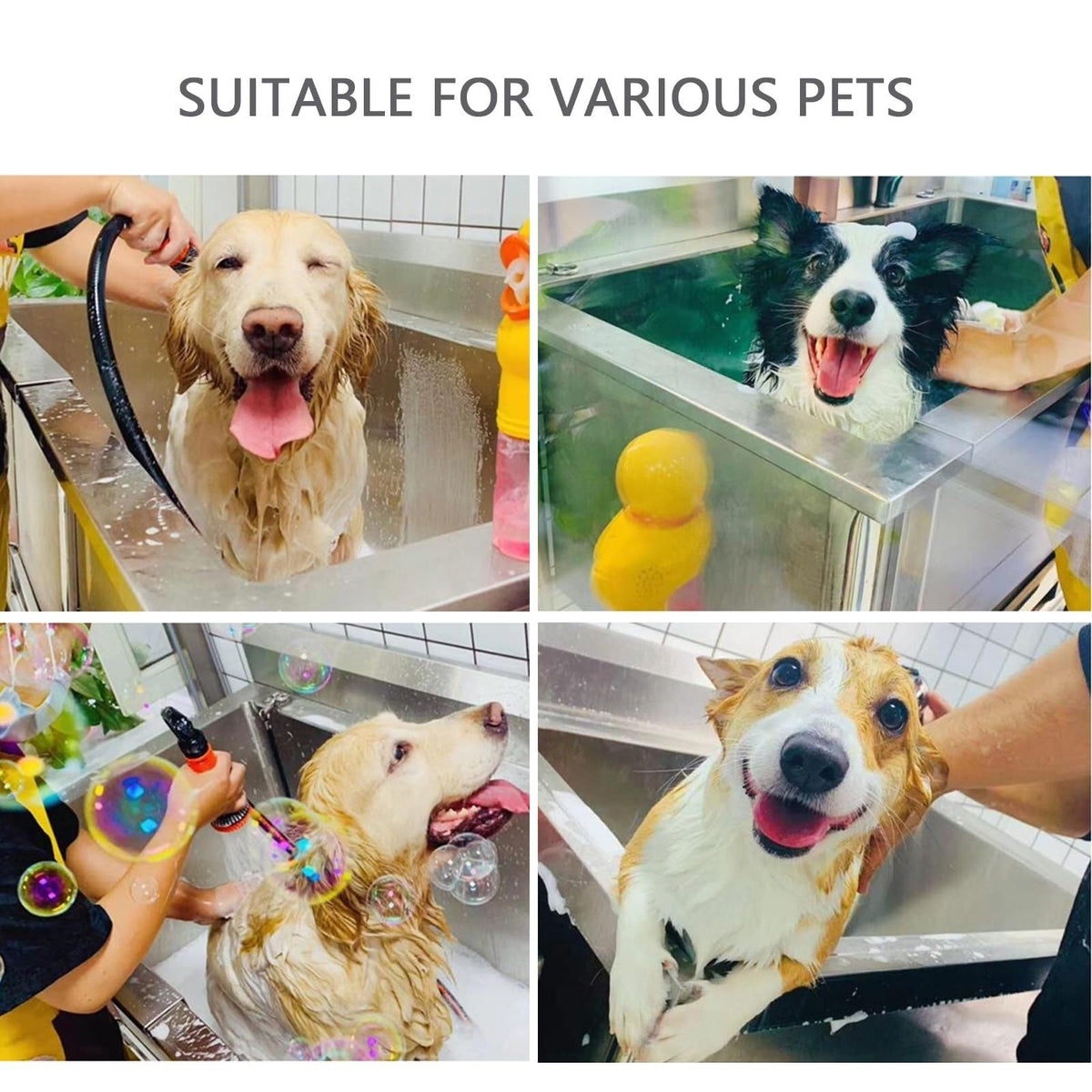Stainless Steel Dog Washing Station with Sliding Door D4812