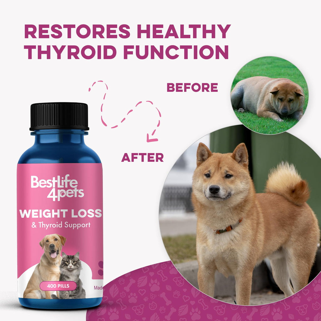 Weight Loss for Dogs 400 Pills A43090