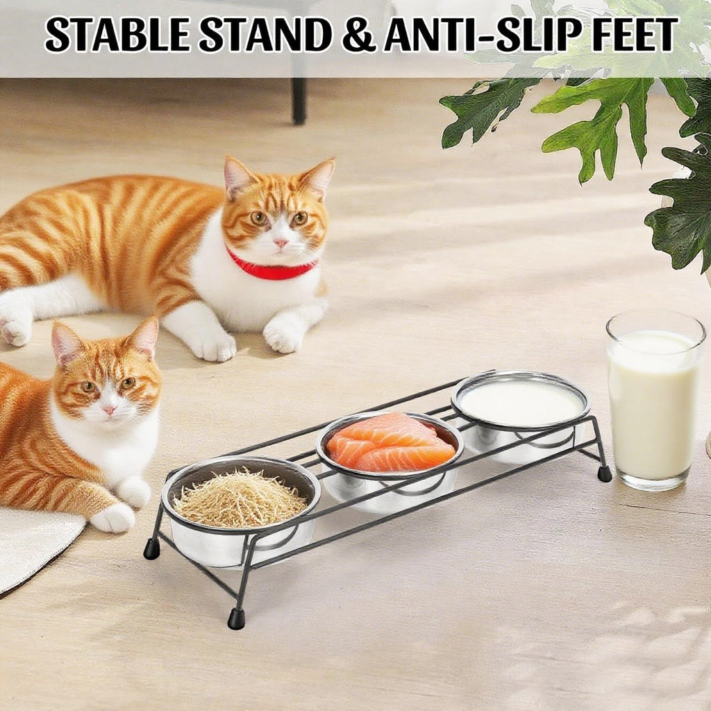Raised Cat Bowls 3 Stainless Steel I415