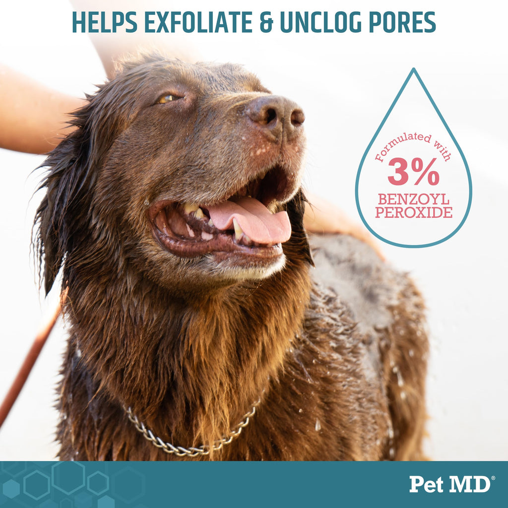 Benzoyl Peroxide Shampoo for Dogs, Cats, and Horses 12oz B681