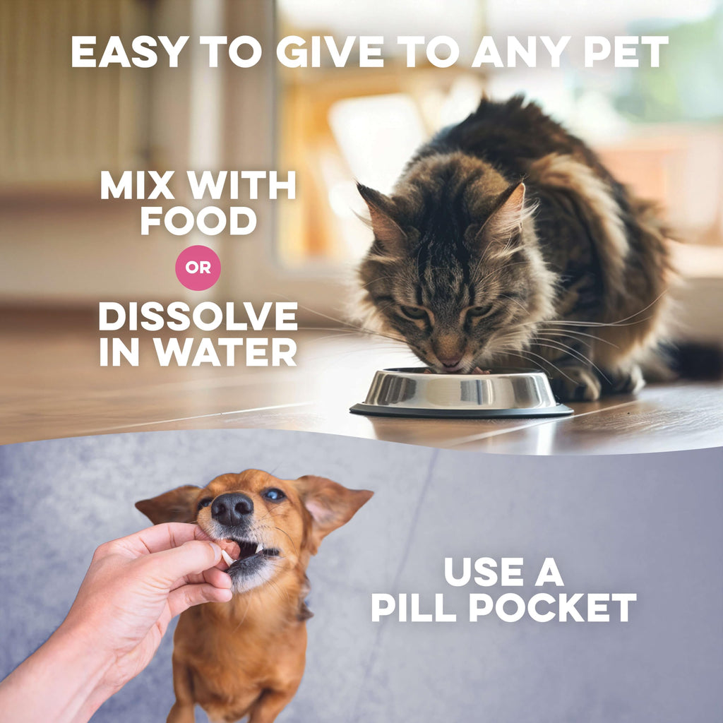 Weight Loss for Dogs 400 Pills A43090