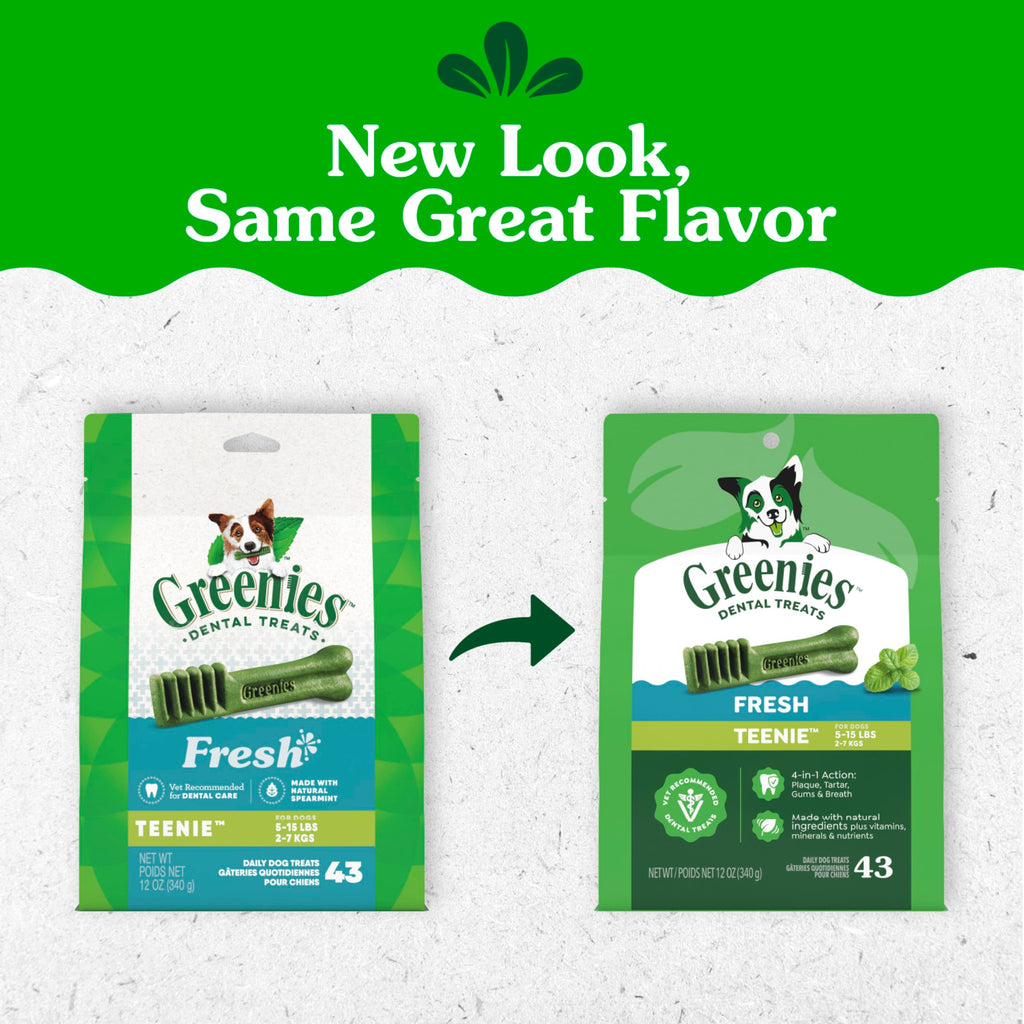 Fresh Mint Dental Dog Treats 43 Count Z159700