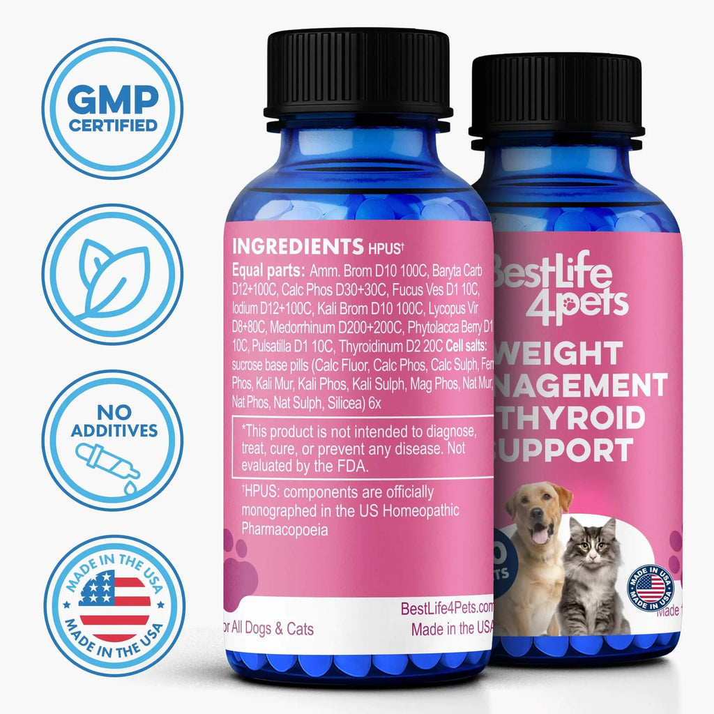 Weight Loss for Dogs 400 Pills A43090