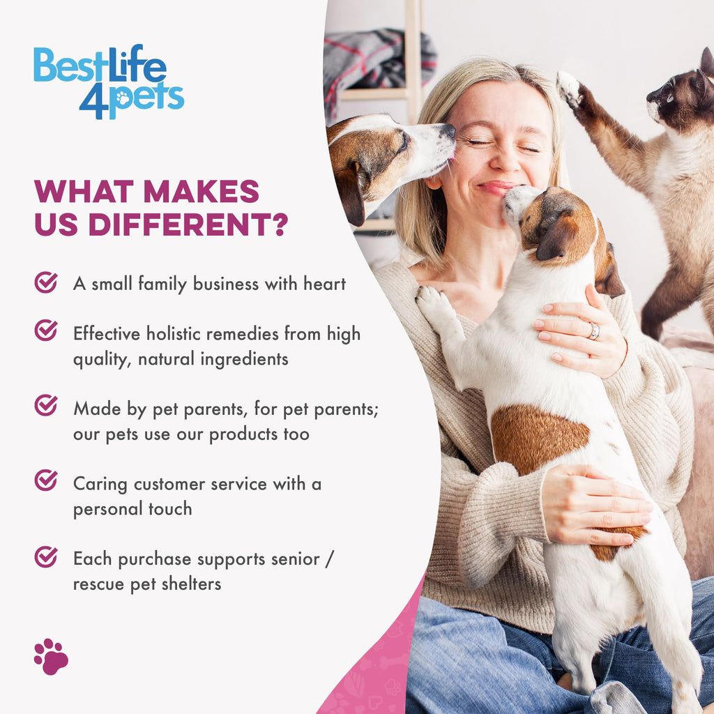 Weight Loss for Dogs 400 Pills A43090