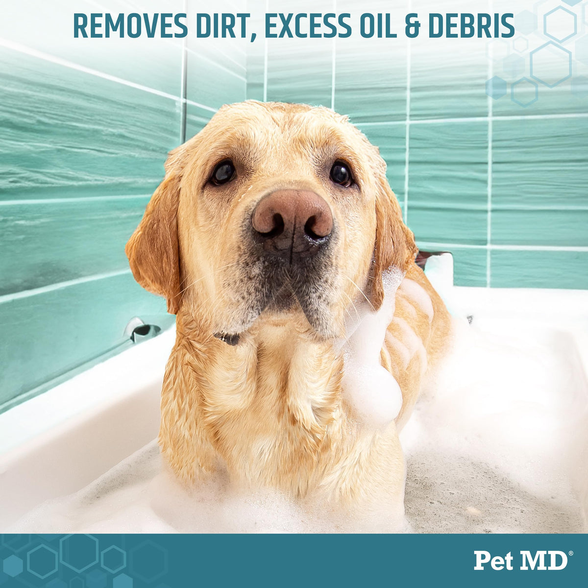 Benzoyl Peroxide Shampoo for Dogs, Cats, and Horses 12oz B681