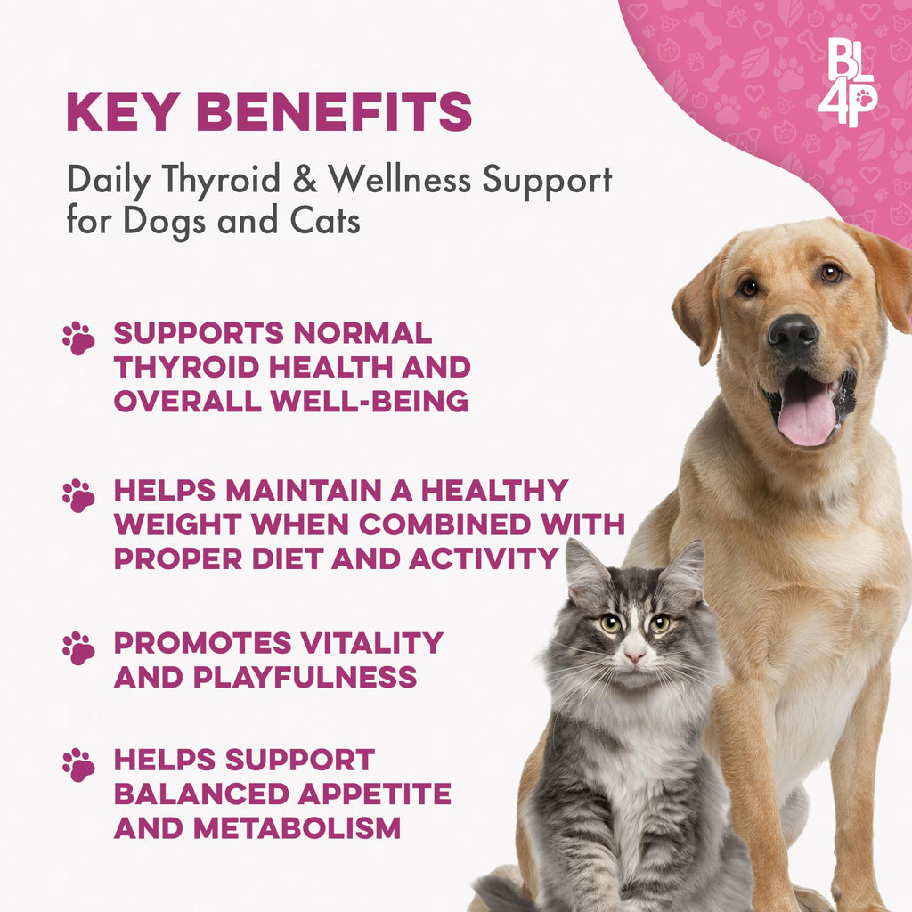 Weight Loss for Dogs 400 Pills A43090