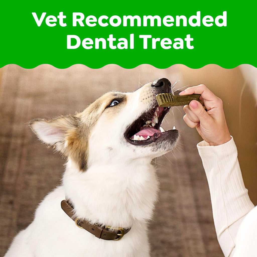 Fresh Mint Dental Dog Treats 43 Count Z159700