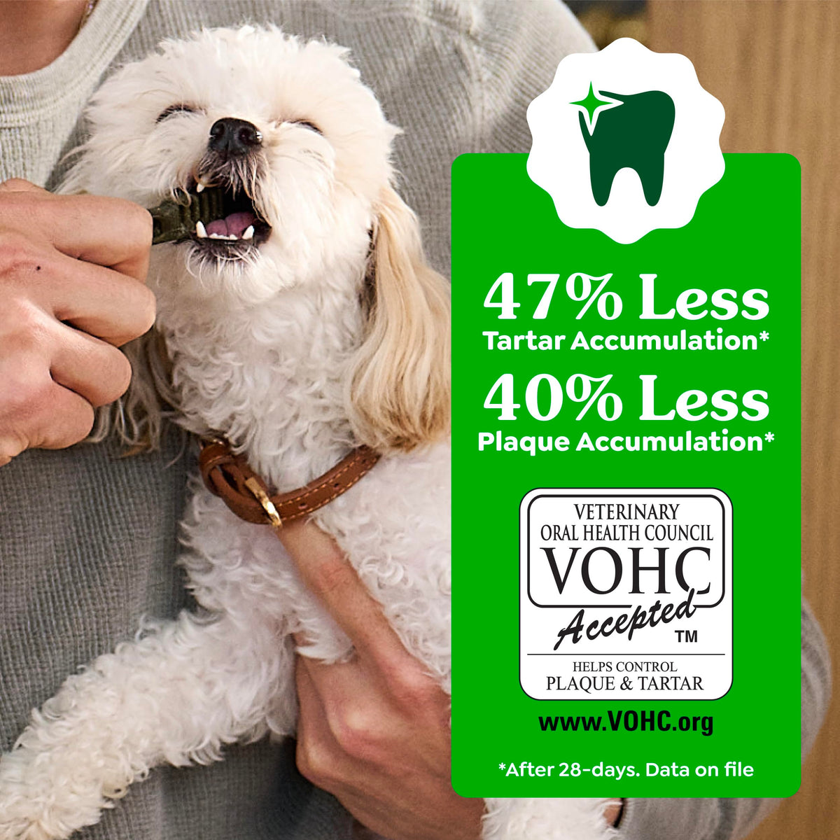 Fresh Mint Dental Dog Treats 43 Count Z159700