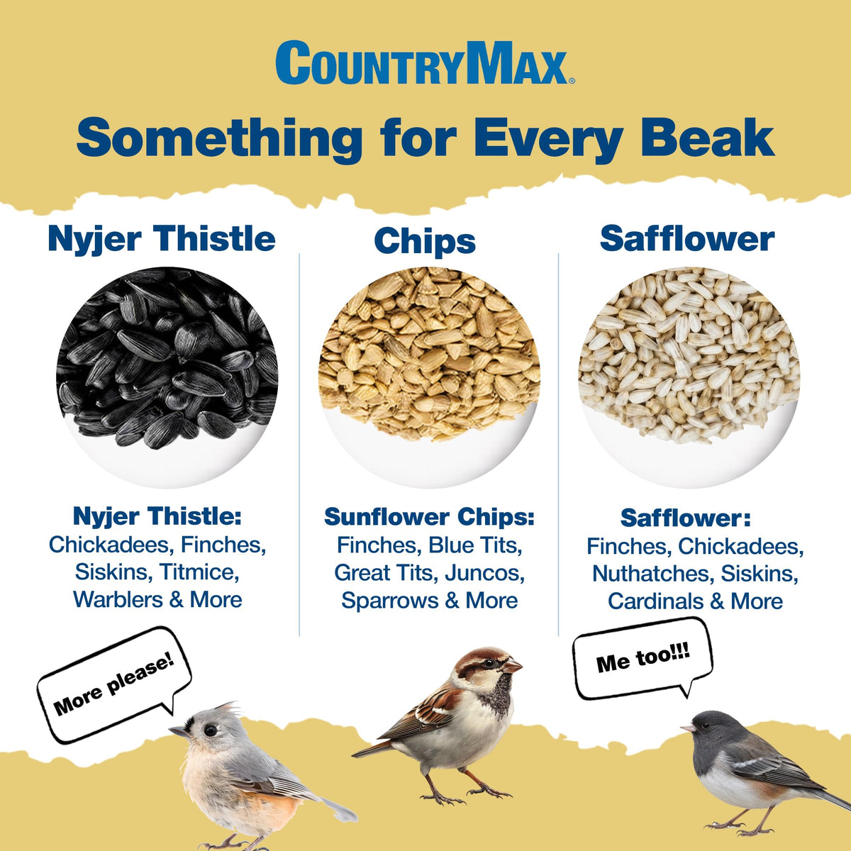 Nyjer Seed for Finches & Songbirds Q837