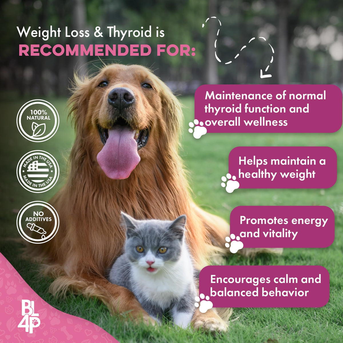 Weight Loss for Dogs 400 Pills A43090