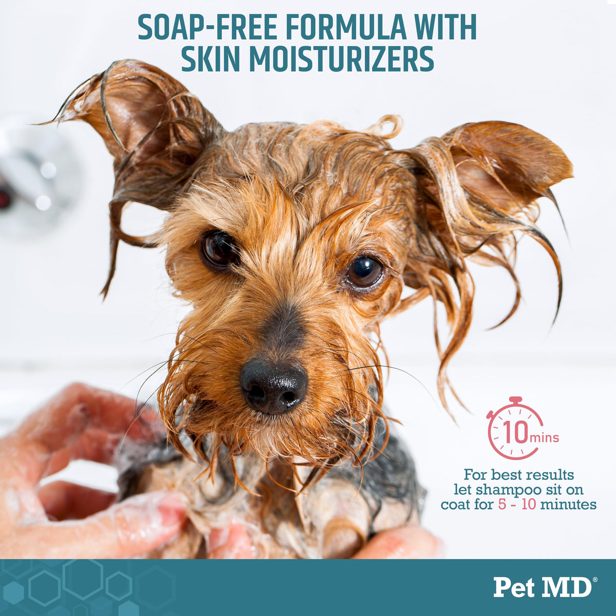 Benzoyl Peroxide Shampoo for Dogs, Cats, and Horses 12oz B681