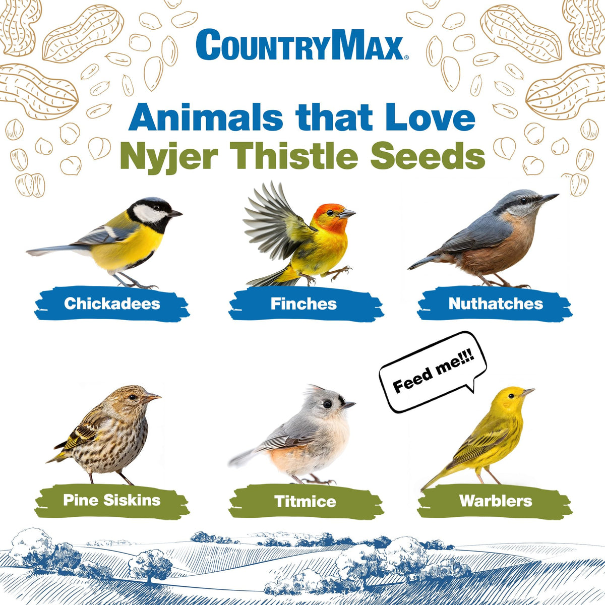 Nyjer Seed for Finches & Songbirds Q837