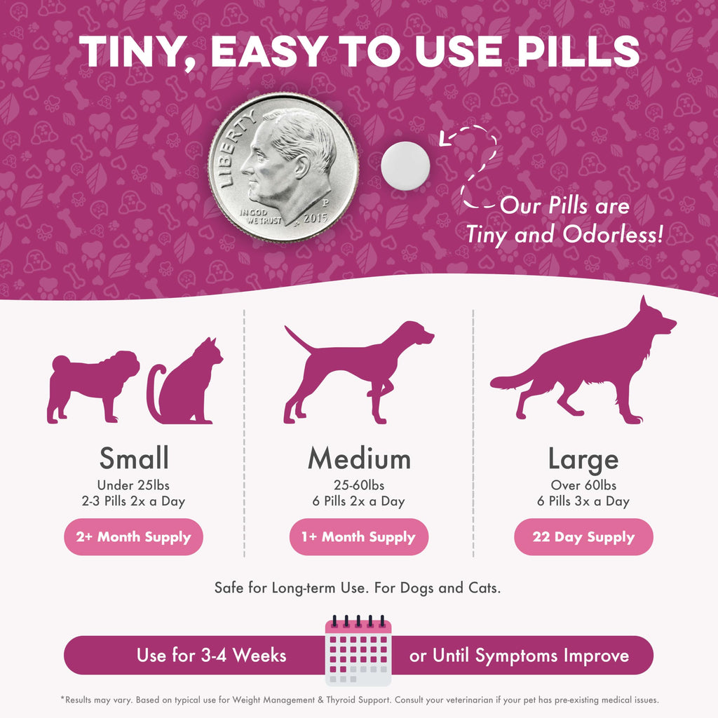 Weight Loss for Dogs 400 Pills A43090
