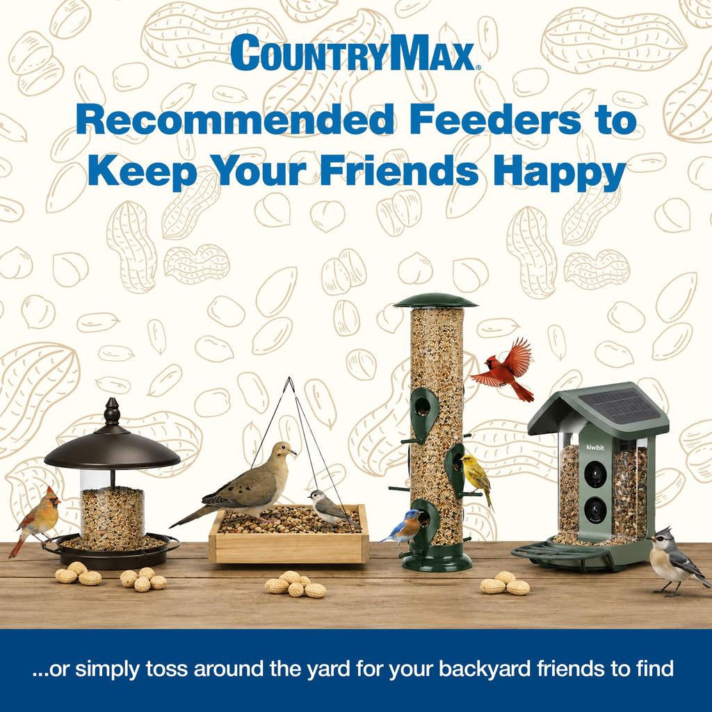 Nyjer Seed for Finches & Songbirds Q837