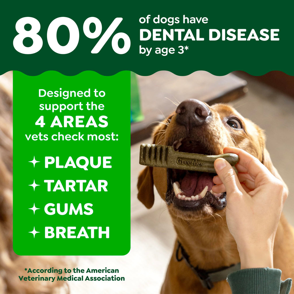 Fresh Mint Dental Dog Treats 43 Count Z159700