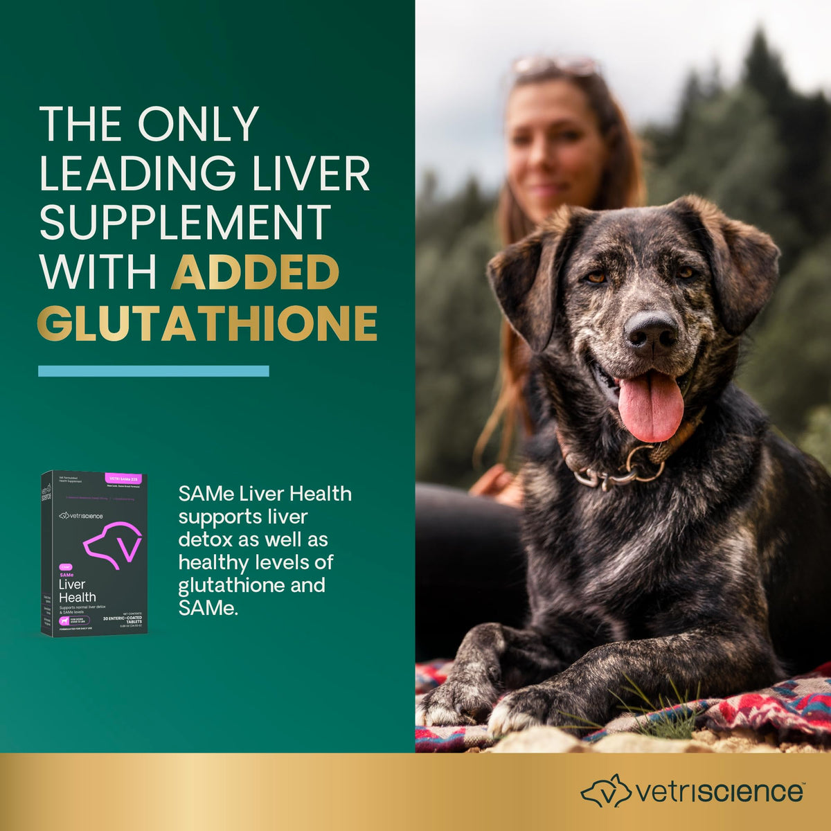 Liver Health Tablets for Dogs 30 Count E317
