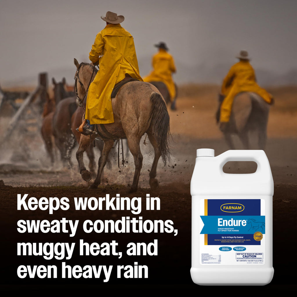 Fly Spray for Horses 128 oz Refill X40436