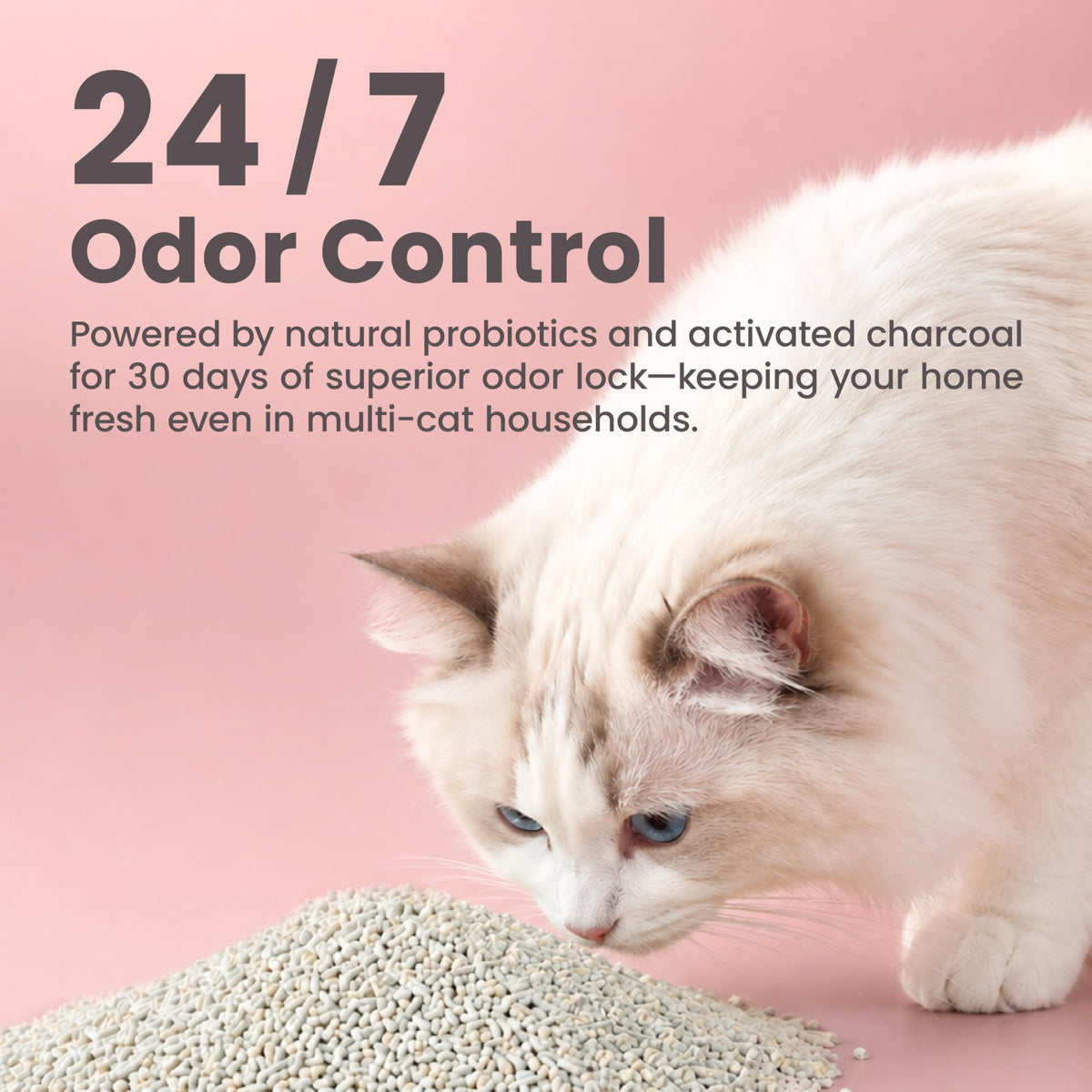 Tofu Cat Litter 18lb O528