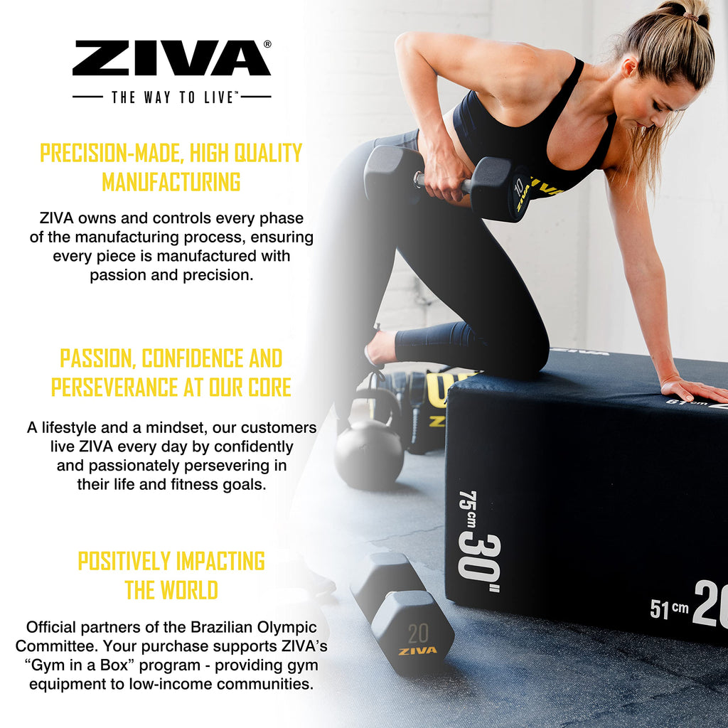Hex Rubber Coated Dumbbells R9093