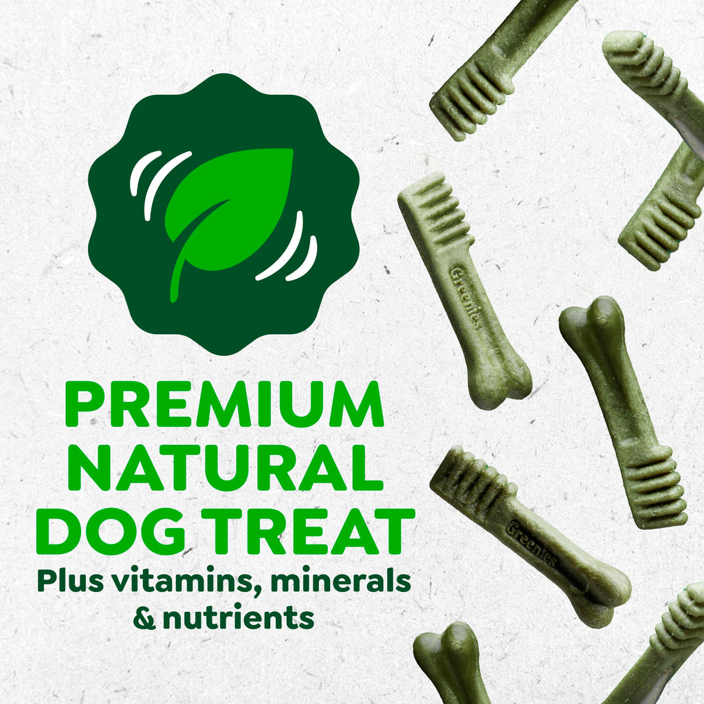 Fresh Mint Dental Dog Treats 43 Count Z159700