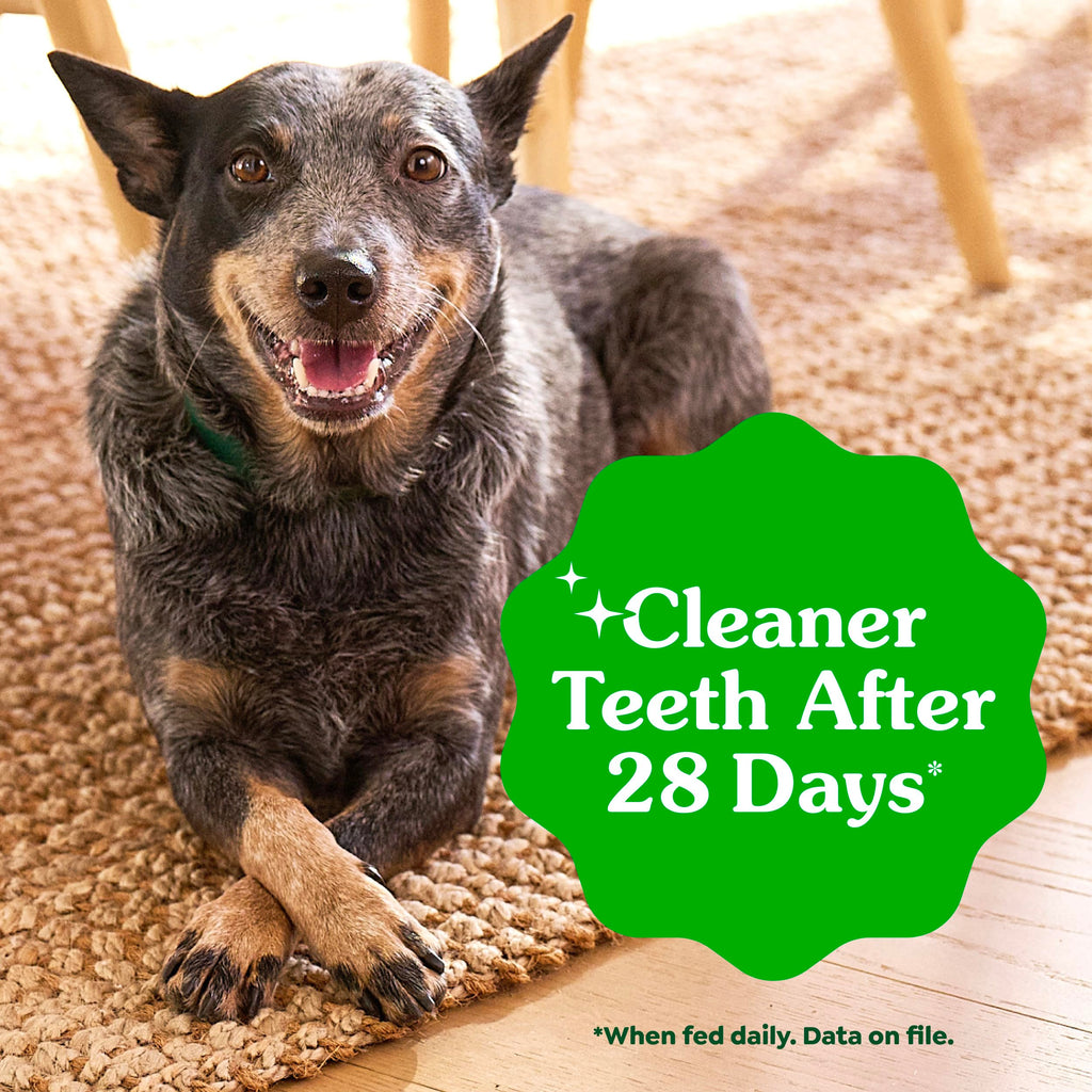 Fresh Mint Dental Dog Treats 43 Count Z159700